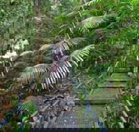 Falls walking track - Accommodation QLD