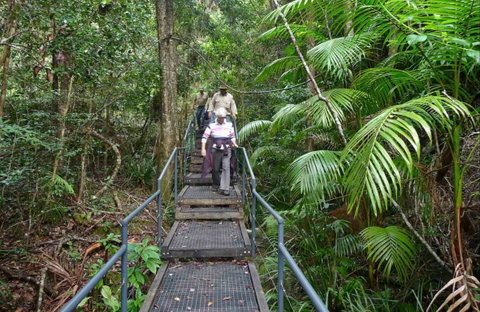 Falls Walking Track - Accommodation QLD 0