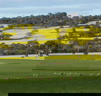 Fini Olives - Accommodation QLD