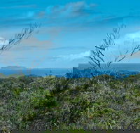Forest Walking Track Crowdy Bay National Park - Accommodation QLD