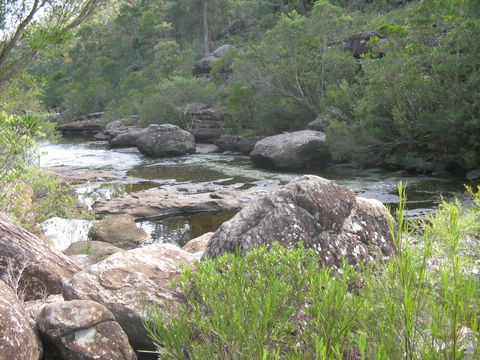 Georges River Nature Reserve - Accommodation QLD 1