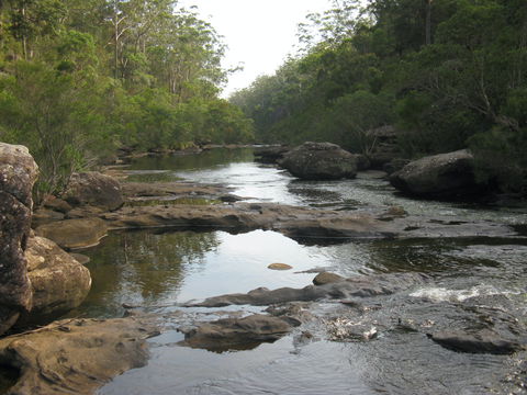 Georges River Nature Reserve - Accommodation QLD 2