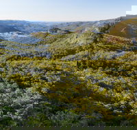 Gold Coast Hinterland Great Walk - Accommodation QLD
