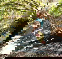 Haig Street Quarry Bushland Reserve Trails - Accommodation QLD
