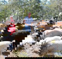 Haigslea EWE Nique Hobby Farm - Accommodation QLD