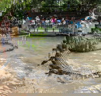 Hartley's Crocodile Adventures - Accommodation QLD