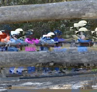 Harlow Park Horse Riding - Accommodation QLD