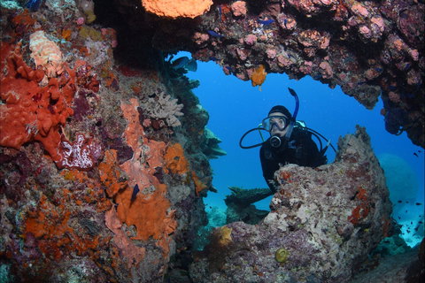 Heron Bommie - Accommodation QLD 0