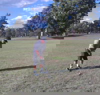 Inverell Golf Club - Accommodation QLD