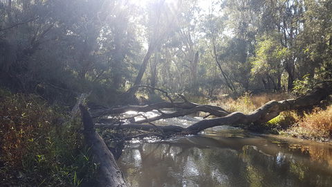 Kaluna Park - Accommodation QLD 1