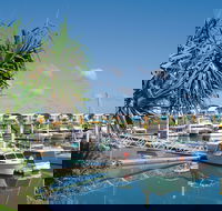 Keppel Bay Fishing Adventure - Accommodation QLD