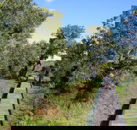 Kepwari Trails Wetland Wonderland