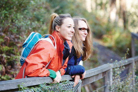 Kinglake National Park - Accommodation QLD 2