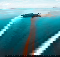 King Island Walk - Accommodation QLD