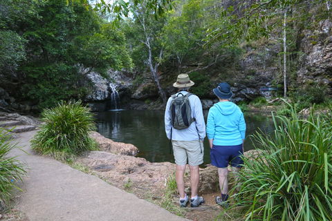 Kondalilla Falls Circuit, Kondalilla National Park - Accommodation QLD 1
