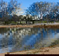 Lake King Wetlands at Rutherglen - Accommodation QLD
