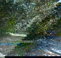 Lillypilly loop trail - Accommodation QLD