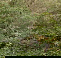 Lind National Park - Accommodation QLD