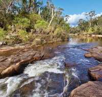 Little Dandahra Creek Walking Track - Accommodation QLD