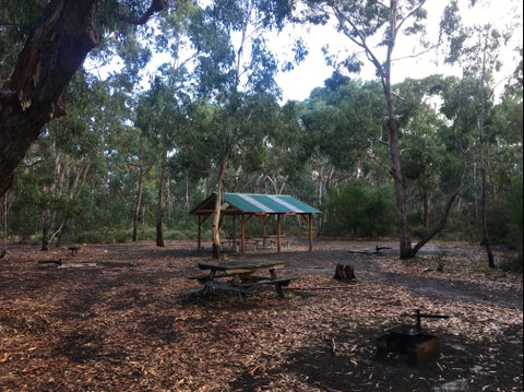 Long Lead Picnic Area And Campground - Accommodation QLD 0