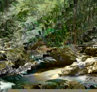 Maleny - Accommodation QLD