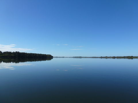 Manning River - Accommodation QLD 0