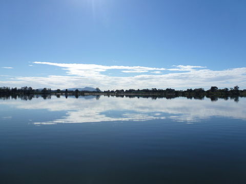 Manning River - Accommodation QLD 1