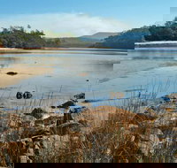 Merrica River Nature Trail - Accommodation QLD