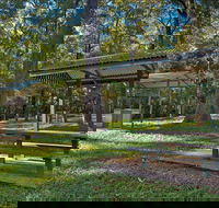Minyon Grass Picnic Area - Accommodation QLD