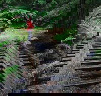 Montezuma Falls - Accommodation QLD