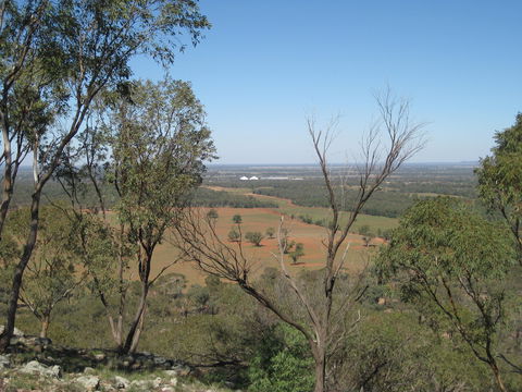 Mount Tilga - Accommodation QLD 0