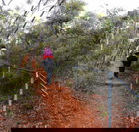 Mount Matilda Walk Trail Wongan Hills - Accommodation QLD
