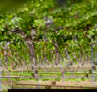 Murrumbateman - Accommodation QLD
