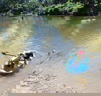 Neurum Creek Campgrounds - Accommodation QLD