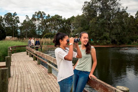 Newcastles Outdoor Adventures - Accommodation QLD 2