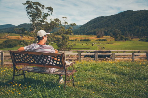 North - North East - Accommodation QLD 0