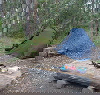 Northbrook Mountain Bush Camp - Accommodation QLD