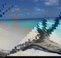 North West Island - Accommodation QLD