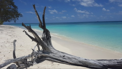 North West Island - Accommodation QLD 0