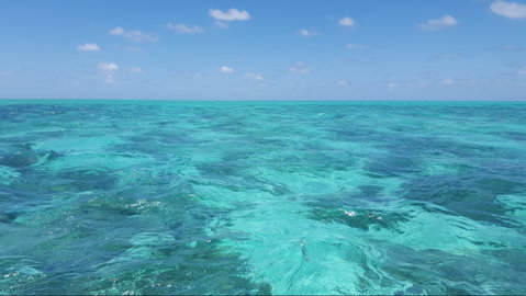 North West Island - Accommodation QLD 1