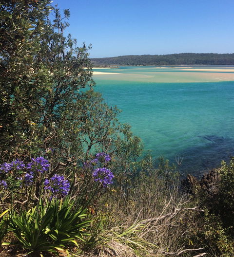 One Tree Point Lookout And Picnic Area - Accommodation QLD 2