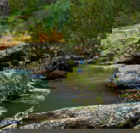 Onkaparinga River National Park - Accommodation QLD