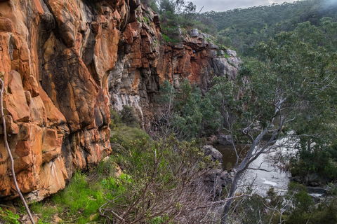 Onkaparinga River National Park - Accommodation QLD 1