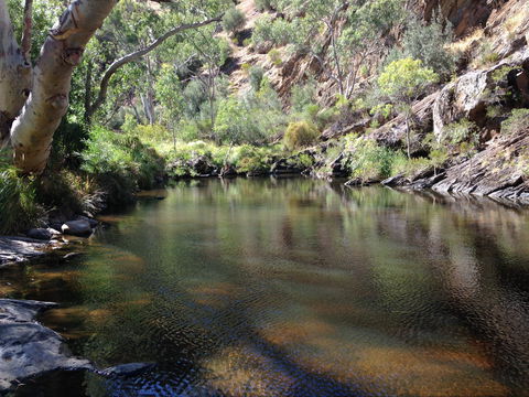 Onkaparinga River National Park - Accommodation QLD 2