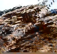 Rock Climbing in Morialta - Accommodation QLD
