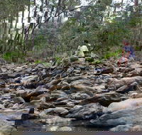 Rocksberg Park Heritage Reserve - Accommodation QLD