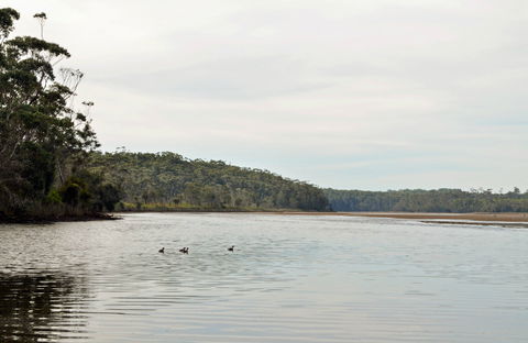 Tabourie Lake - Accommodation QLD 0