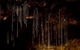 Tamborine Mountain Glow Worm Tours - thumb 0