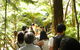 Tamborine Mountain Glow Worm Tours - thumb 1