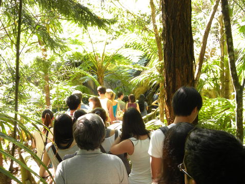 Tamborine Mountain Glow Worm Tours - Accommodation QLD 1